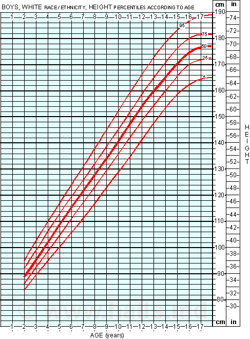 Average Height For Boys Growth Chart Of Boys Age 2 To 18