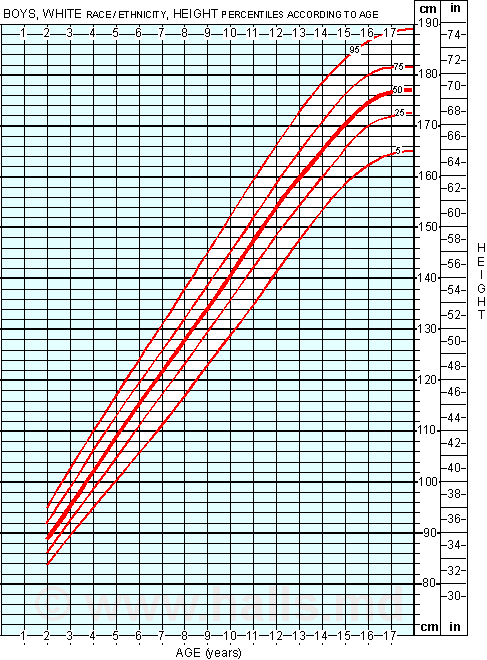 Average Height for Boys: Growth Chart of Boys age 2 to 18