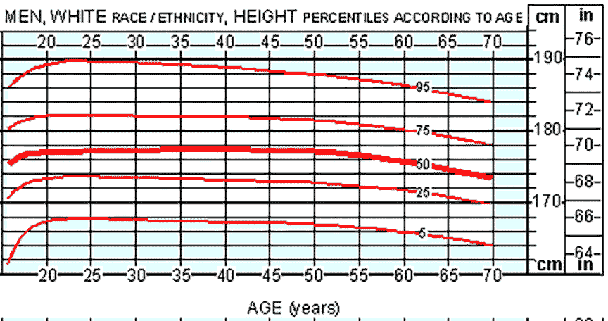 What is the average height for men?