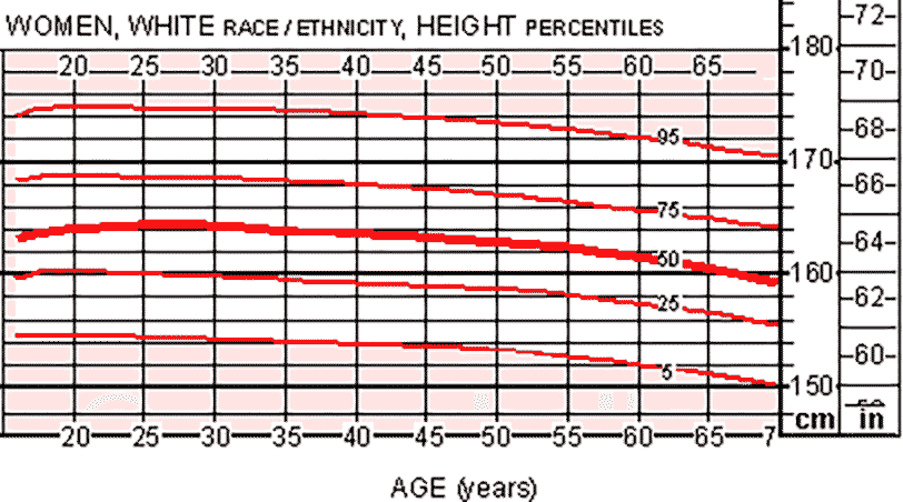 Women Height Percentiles Telegraph   WomenHeightWhite2 