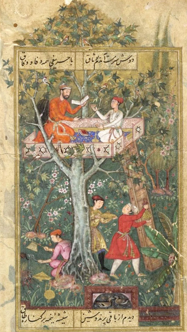 The platform in the tree is above where branching starts, so it
                                      is considered to be in higher-dimension.