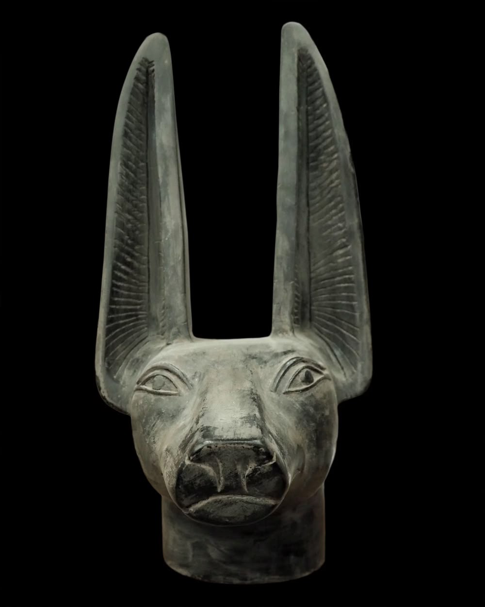 Anubis uses straight ears to label an upward polarity. Where it's nose points also labels a different flow direction.