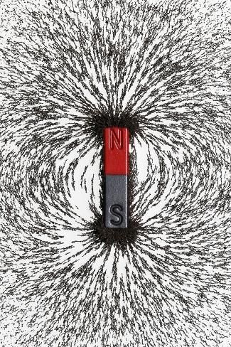 Bar magnet with iron filings