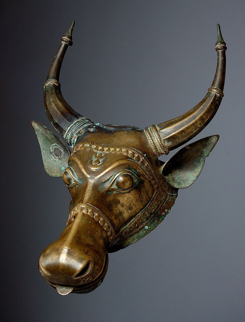 Bullhead bullhorns indicate divine high-density downward energy flow.
                                          Even lacking horns a cowhead has a downward nose that indicates this flow direction.