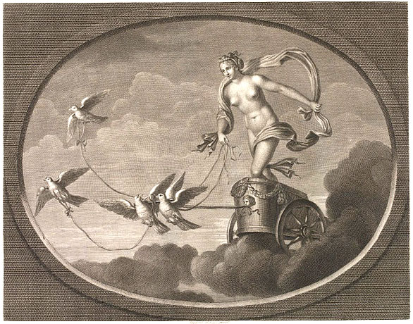 Pulling a chariott with birds