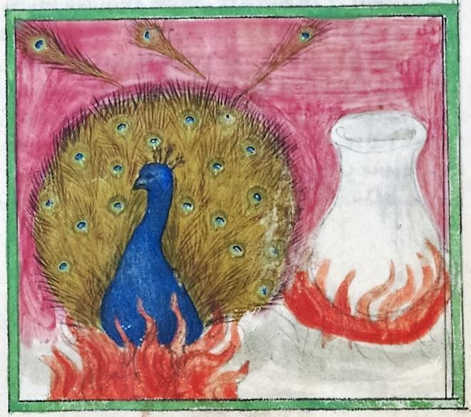 Fire is the shape of energy flow spilling out of a flux tube. It expands,
                                      then it starts deflating, becoming wavy/undulating, then curling up into spirals
                                      that ultimately disappear.