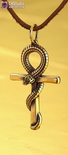 The snake is often a flux tube. It's upper neck is doing a loop-back above the
                                          horizontal dimension barrier.