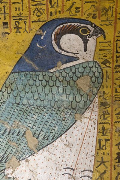 Horus and all curved-beak-birds mean the bidirectional downward divine energy flow.