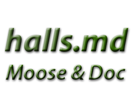 Update Logo 2