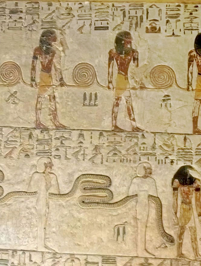 Pulling on a snake in Egypt